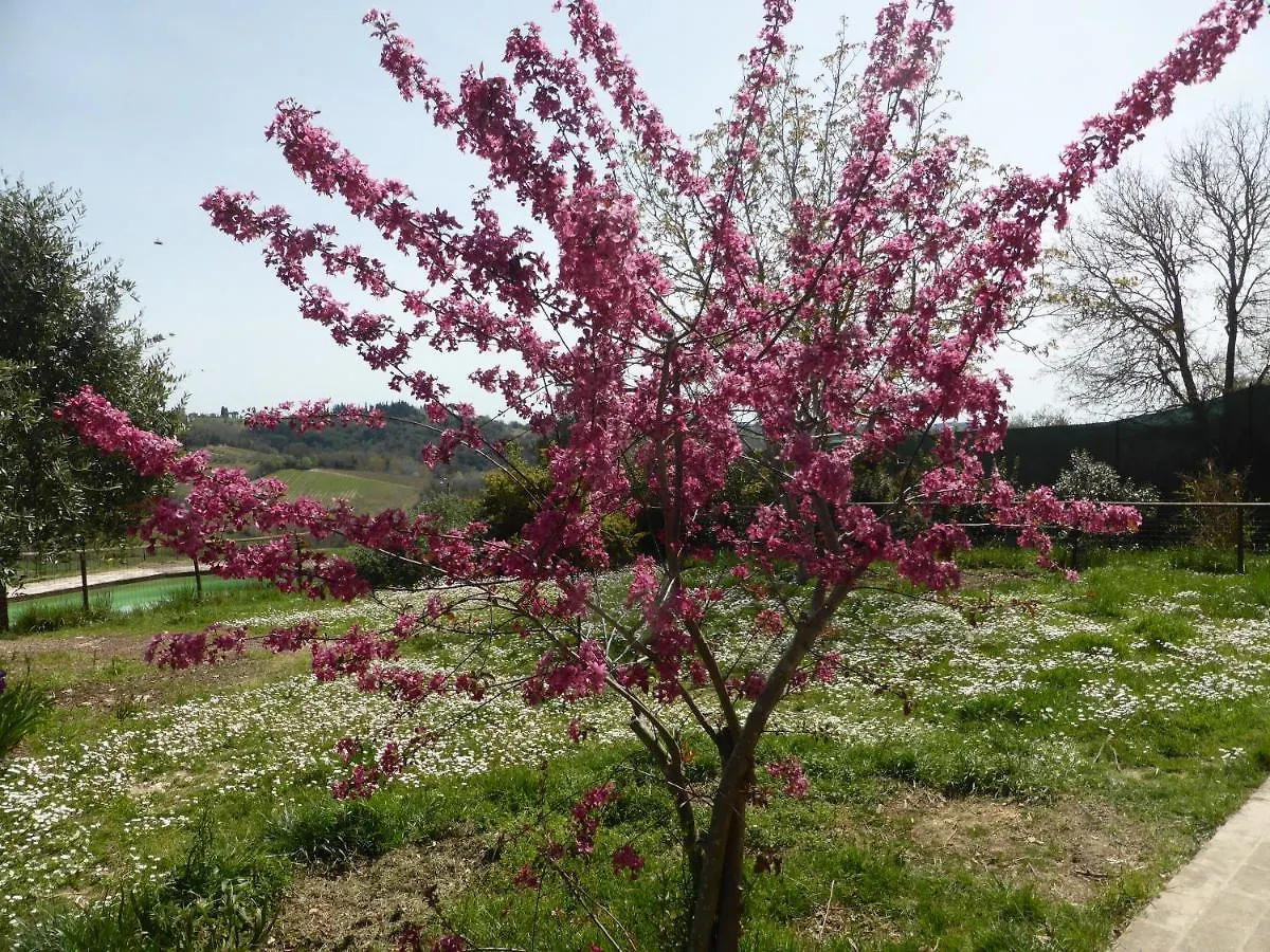 Alloggio per agriturismo Agriturismo Le Tre Pietre - Podere nel Chianti Quercegrossa Italia
