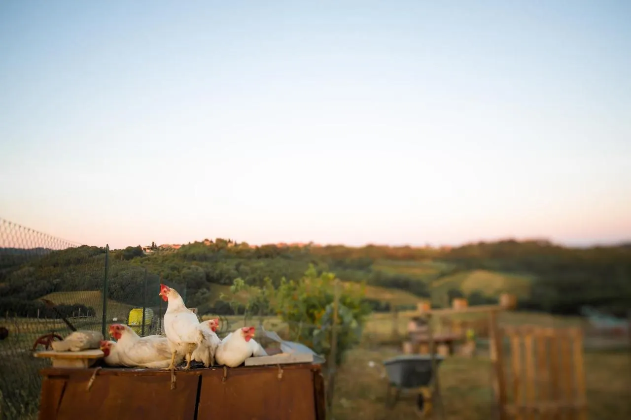 Agriturismo Le Tre Pietre - Podere nel Chianti Quercegrossa 0*,  Italia