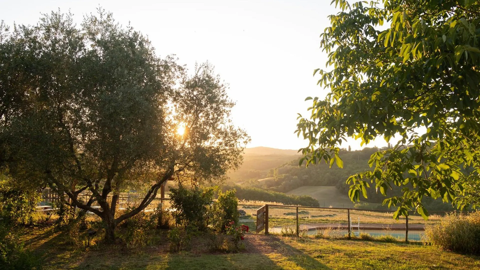 Farm stay Agriturismo Le Tre Pietre - Podere Nel Chianti Quercegrossa