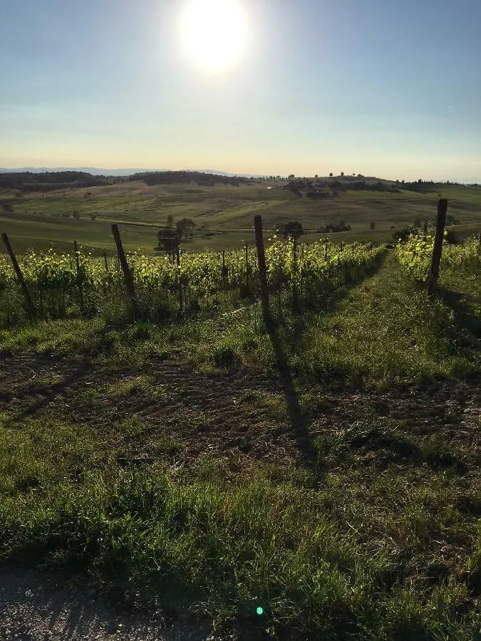 Alloggio per agriturismo Agriturismo Le Tre Pietre - Podere nel Chianti Quercegrossa Italia