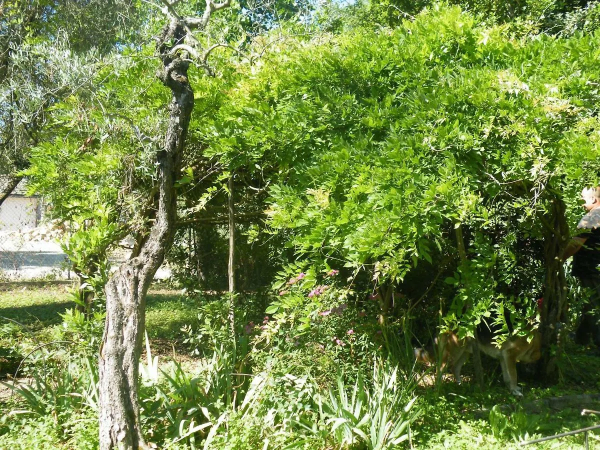 Agriturismo Le Tre Pietre - Podere nel Chianti Quercegrossa