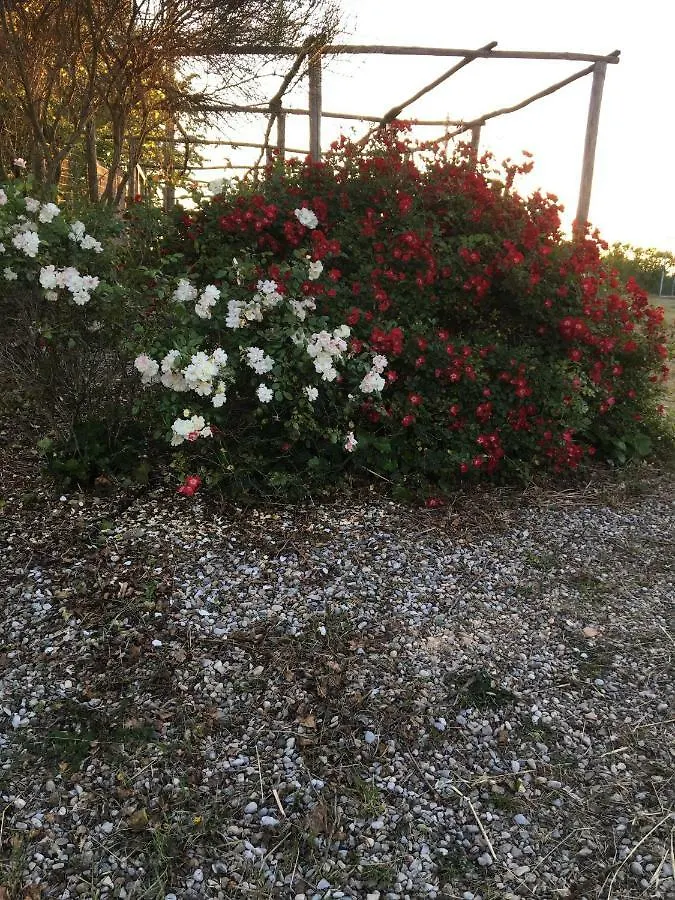 Agriturismo Le Tre Pietre - Podere Nel Chianti Quercegrossa Κατάλυμα σε φάρμα
